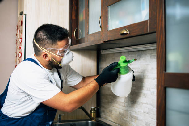 Best Residential Pest Control  in Midway City, CA