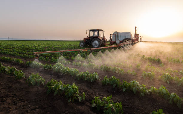 Best Pest Prevention Services  in Midway City, CA