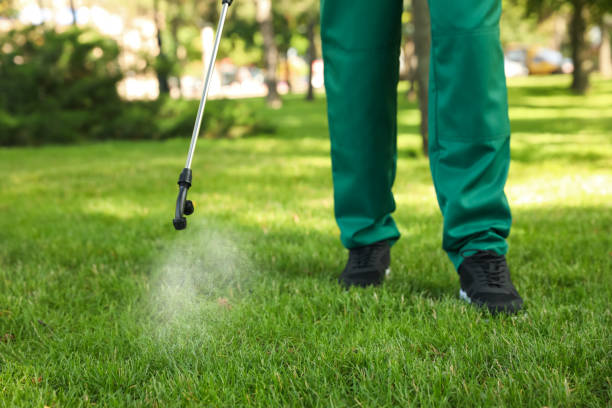 Best Affordable Pest Control Services  in Midway City, CA