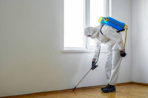 Best Bed Bug Extermination  in Midway City, CA