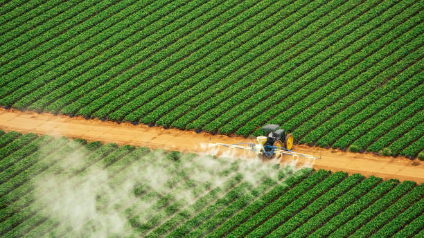 Best Termite Control Services  in Midway City, CA