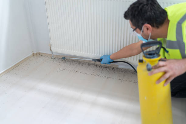 Best Best Pest Control Companies  in Midway City, CA